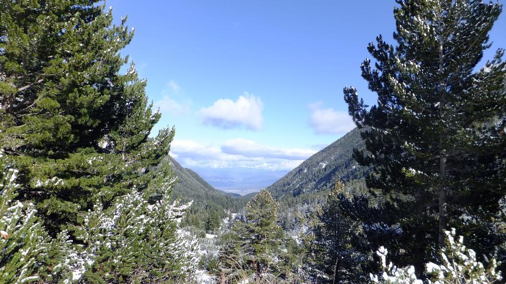 Bansko Prespa Ski Penthouse ห้อง รูปภาพ